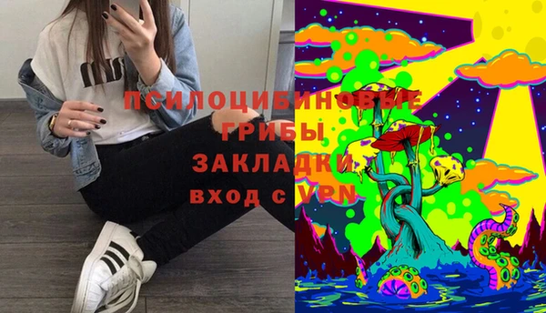 ALPHA PVP Гусев