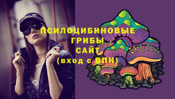 а пвп мука Гусиноозёрск