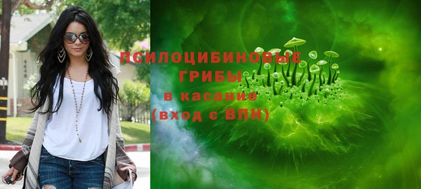 бутират Гусь-Хрустальный