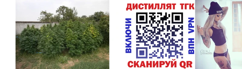 Купить закладки  Сланцы  ТГК Wax 