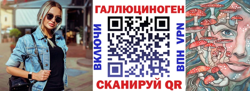 Купить закладки  Сланцы  Псилоцибиновые грибы Magic Shrooms 