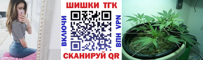 Марихуана планчик  Купить где  Сланцы 